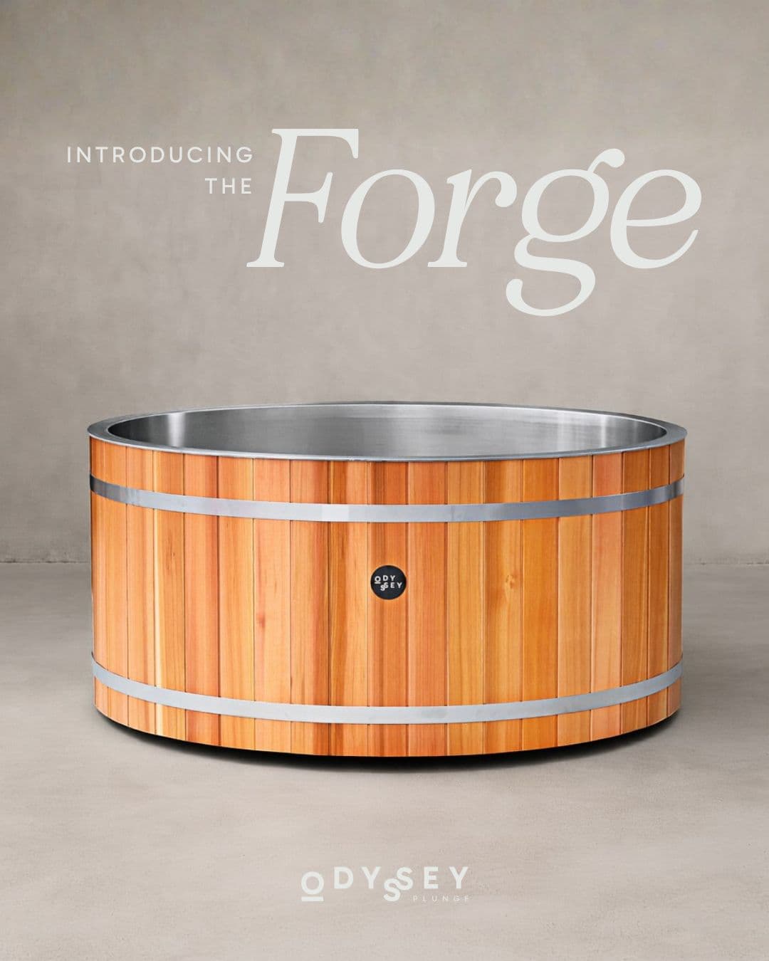 THE FORGE — image 1